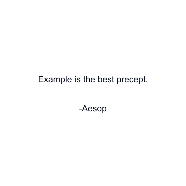 Example is the best precept.