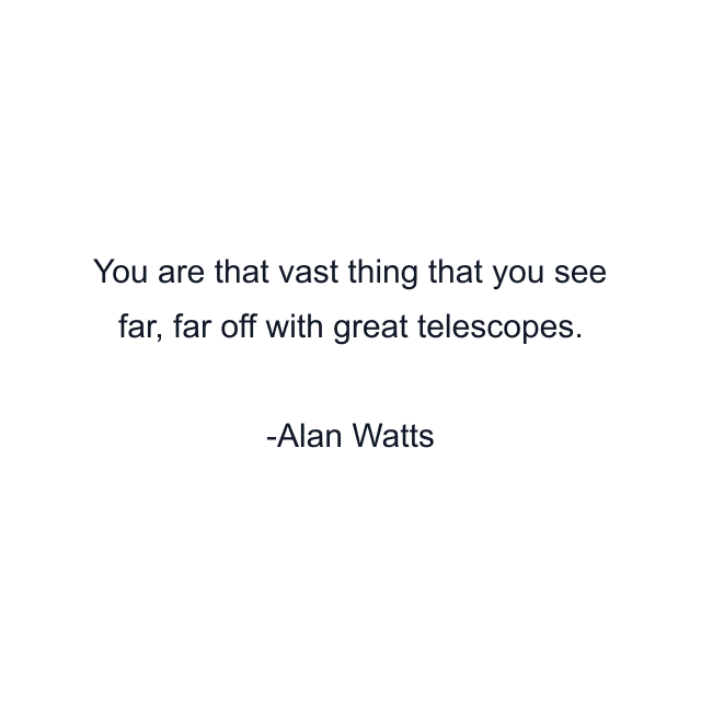 You are that vast thing that you see far, far off with great telescopes.