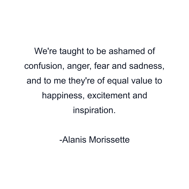 We're taught to be ashamed of confusion, anger, fear and sadness, and to me they're of equal value to happiness, excitement and inspiration.