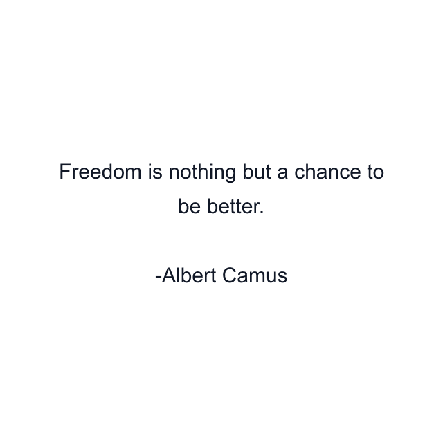 Freedom is nothing but a chance to be better.