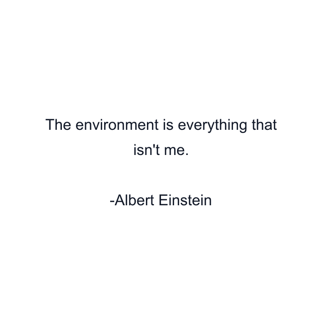 The environment is everything that isn't me.