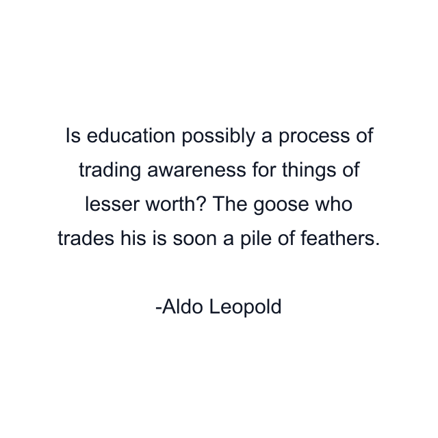 Is education possibly a process of trading awareness for things of lesser worth? The goose who trades his is soon a pile of feathers.