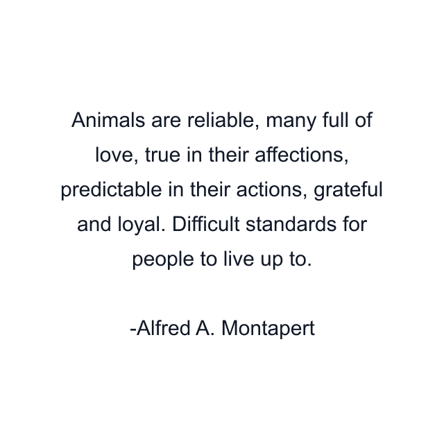 Animals are reliable, many full of love, true in their affections, predictable in their actions, grateful and loyal. Difficult standards for people to live up to.