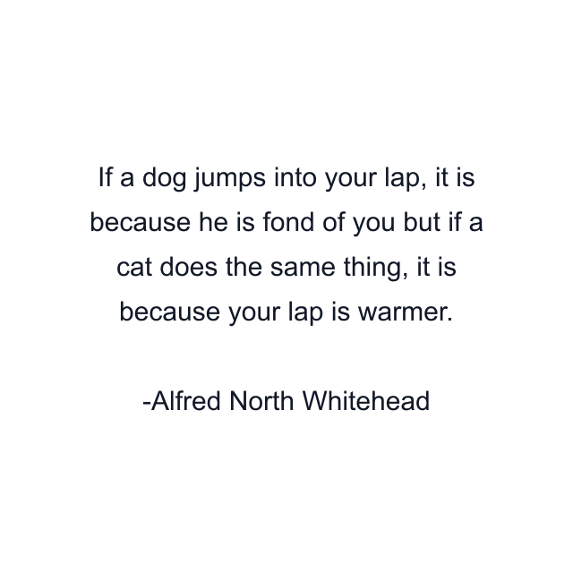 If a dog jumps into your lap, it is because he is fond of you but if a cat does the same thing, it is because your lap is warmer.