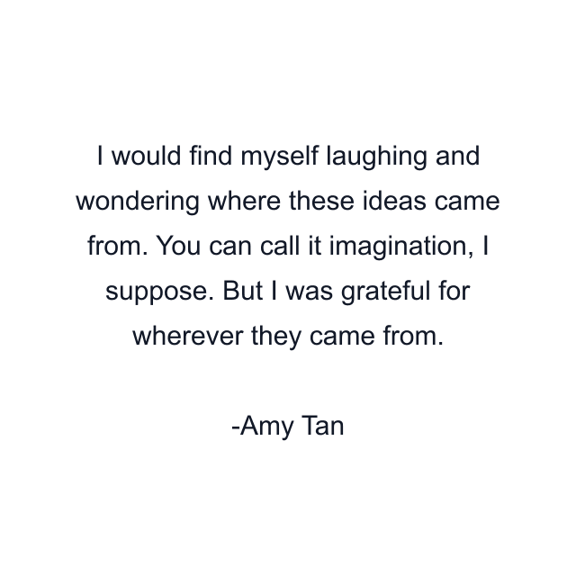 I would find myself laughing and wondering where these ideas came from. You can call it imagination, I suppose. But I was grateful for wherever they came from.