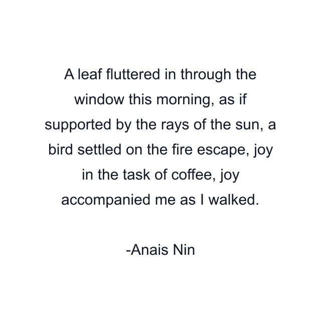 A leaf fluttered in through the window this morning, as if supported by the rays of the sun, a bird settled on the fire escape, joy in the task of coffee, joy accompanied me as I walked.