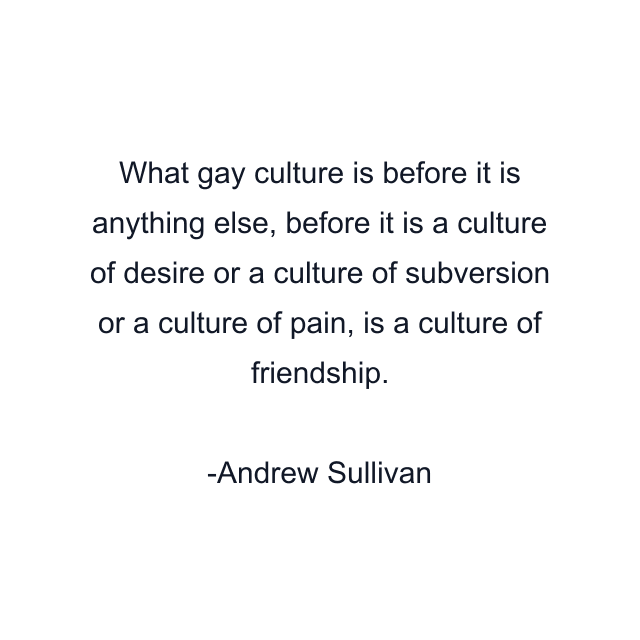 What gay culture is before it is anything else, before it is a culture of desire or a culture of subversion or a culture of pain, is a culture of friendship.