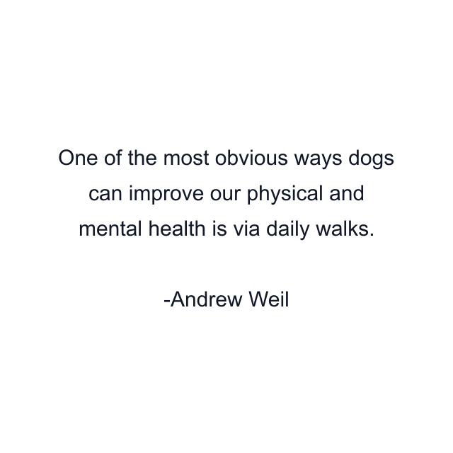 One of the most obvious ways dogs can improve our physical and mental health is via daily walks.