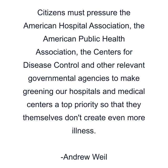 Citizens must pressure the American Hospital Association, the American Public Health Association, the Centers for Disease Control and other relevant governmental agencies to make greening our hospitals and medical centers a top priority so that they themselves don't create even more illness.