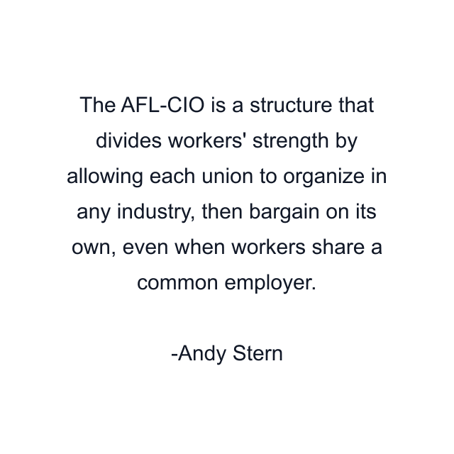 The AFL-CIO is a structure that divides workers' strength by allowing each union to organize in any industry, then bargain on its own, even when workers share a common employer.