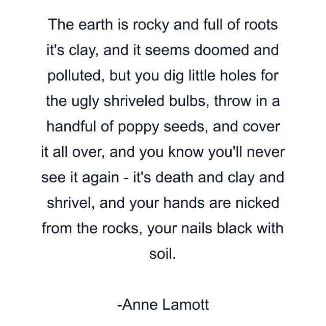 The earth is rocky and full of roots it's clay, and it seems doomed and polluted, but you dig little holes for the ugly shriveled bulbs, throw in a handful of poppy seeds, and cover it all over, and you know you'll never see it again - it's death and clay and shrivel, and your hands are nicked from the rocks, your nails black with soil.