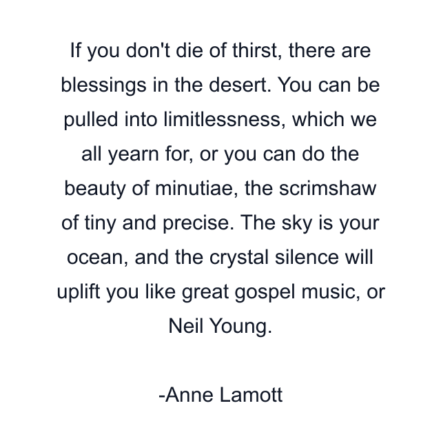 If you don't die of thirst, there are blessings in the desert. You can be pulled into limitlessness, which we all yearn for, or you can do the beauty of minutiae, the scrimshaw of tiny and precise. The sky is your ocean, and the crystal silence will uplift you like great gospel music, or Neil Young.