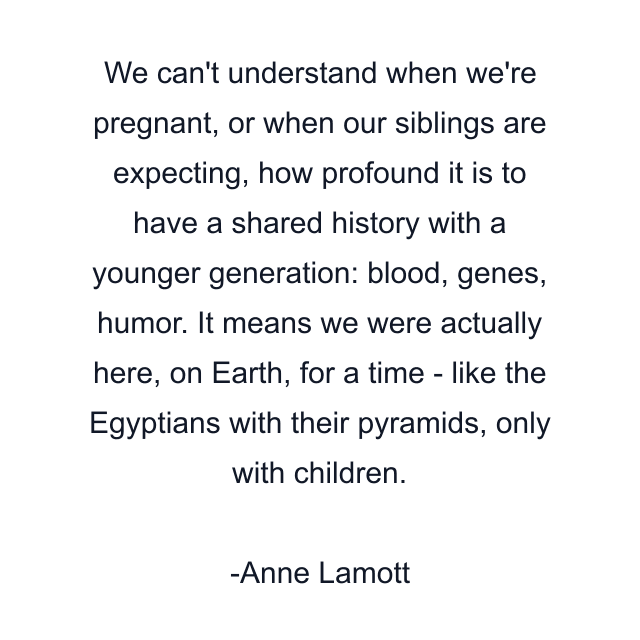 We can't understand when we're pregnant, or when our siblings are expecting, how profound it is to have a shared history with a younger generation: blood, genes, humor. It means we were actually here, on Earth, for a time - like the Egyptians with their pyramids, only with children.