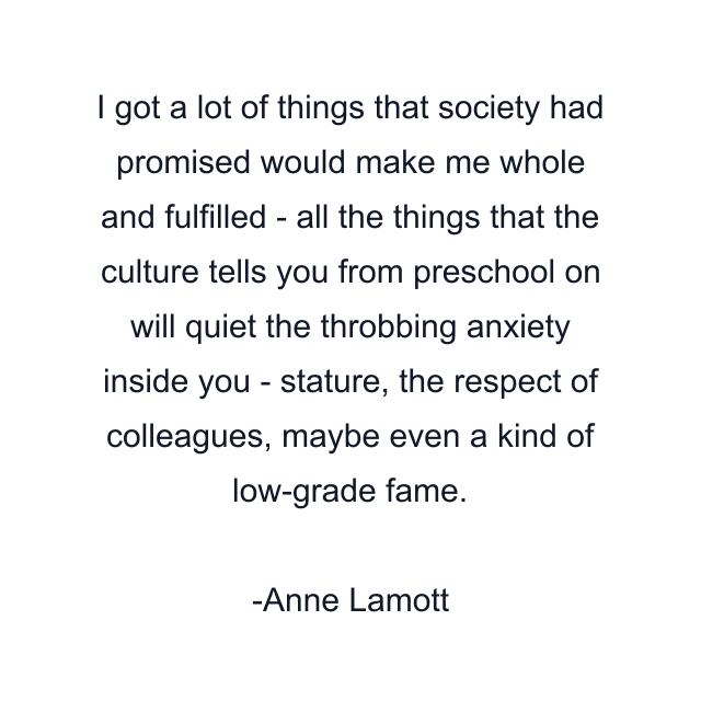 I got a lot of things that society had promised would make me whole and fulfilled - all the things that the culture tells you from preschool on will quiet the throbbing anxiety inside you - stature, the respect of colleagues, maybe even a kind of low-grade fame.