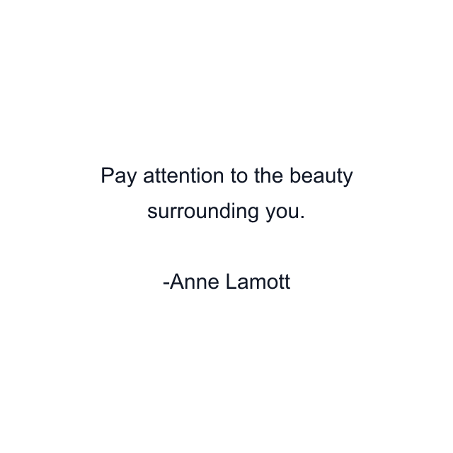 Pay attention to the beauty surrounding you.