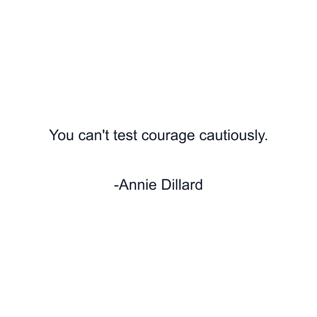 You can't test courage cautiously.