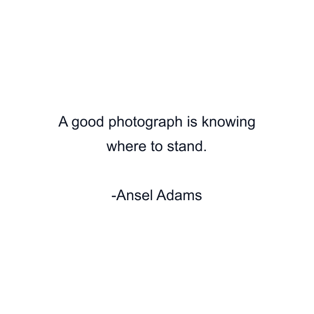 A good photograph is knowing where to stand.