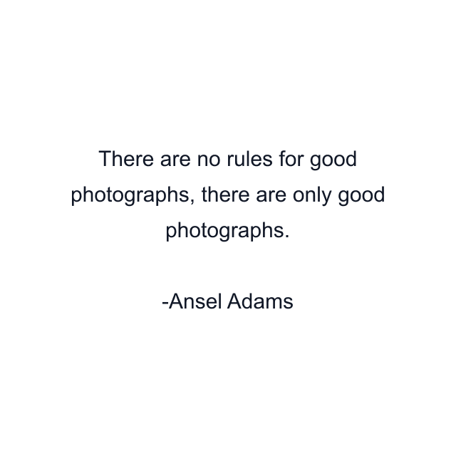 There are no rules for good photographs, there are only good photographs.