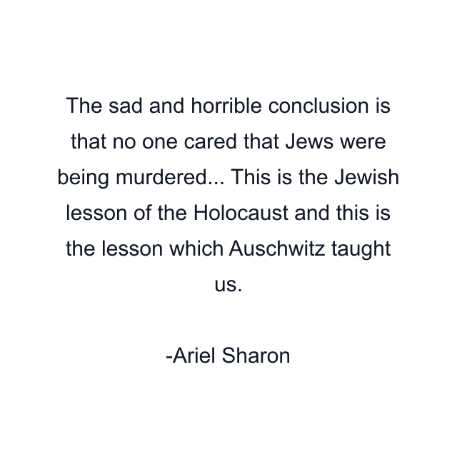 The sad and horrible conclusion is that no one cared that Jews were being murdered... This is the Jewish lesson of the Holocaust and this is the lesson which Auschwitz taught us.