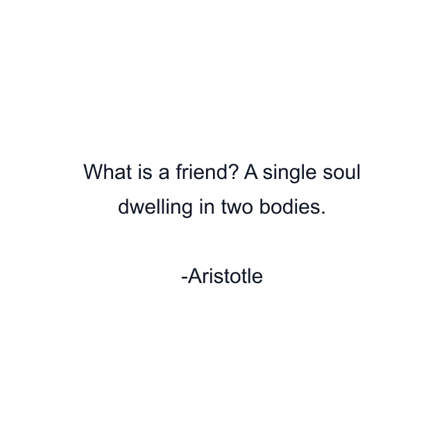 What is a friend? A single soul dwelling in two bodies.