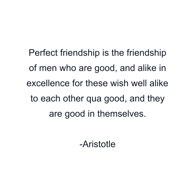 Perfect friendship is the friendship of men who are good, and alike in excellence for these wish well alike to each other qua good, and they are good in themselves.