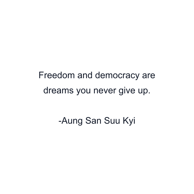 Freedom and democracy are dreams you never give up.