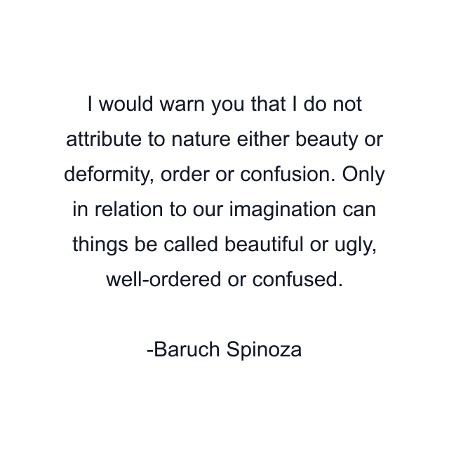 I would warn you that I do not attribute to nature either beauty or deformity, order or confusion. Only in relation to our imagination can things be called beautiful or ugly, well-ordered or confused.