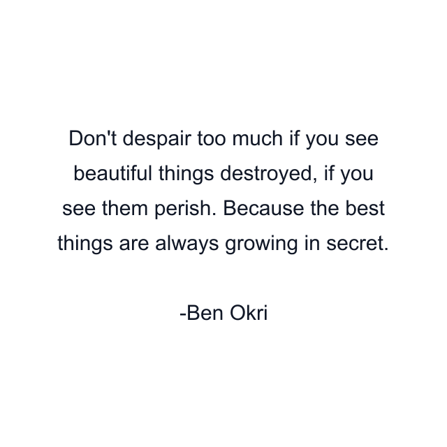 Don't despair too much if you see beautiful things destroyed, if you see them perish. Because the best things are always growing in secret.