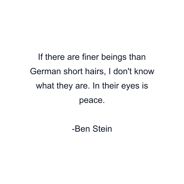 If there are finer beings than German short hairs, I don't know what they are. In their eyes is peace.