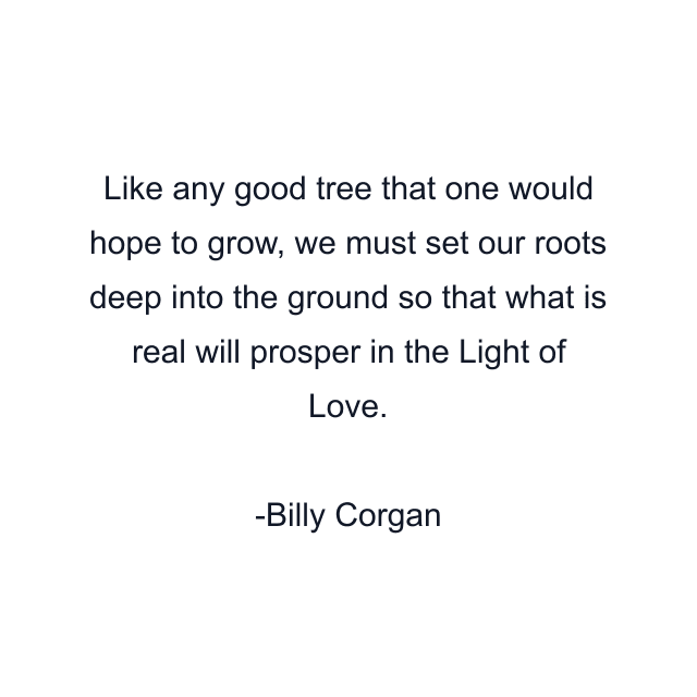 Like any good tree that one would hope to grow, we must set our roots deep into the ground so that what is real will prosper in the Light of Love.