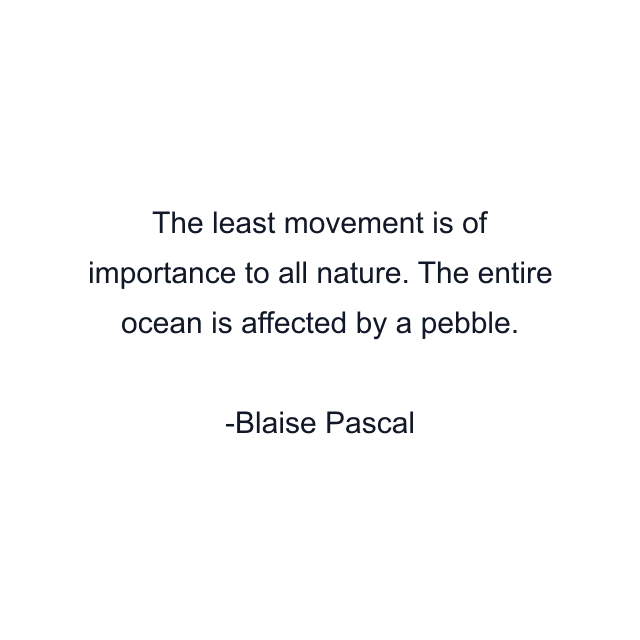 The least movement is of importance to all nature. The entire ocean is affected by a pebble.