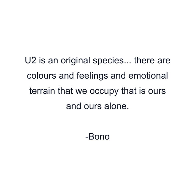 U2 is an original species... there are colours and feelings and emotional terrain that we occupy that is ours and ours alone.