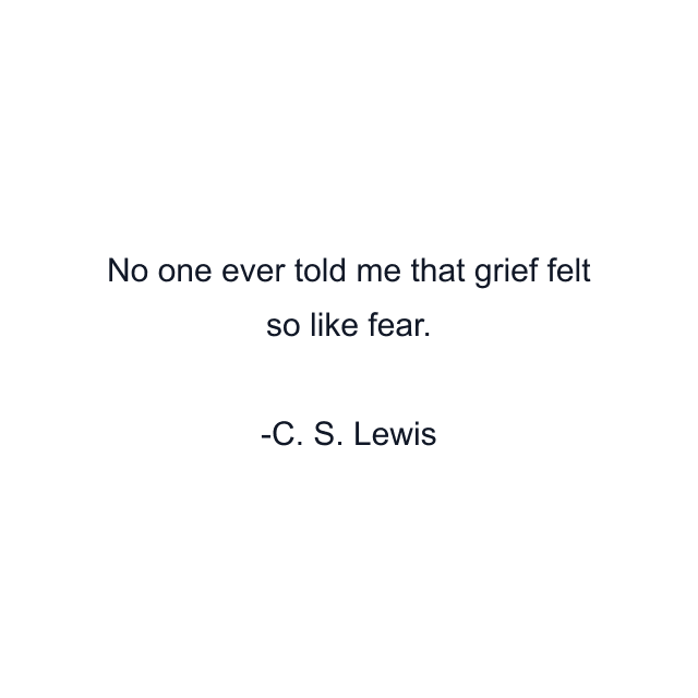 No one ever told me that grief felt so like fear.