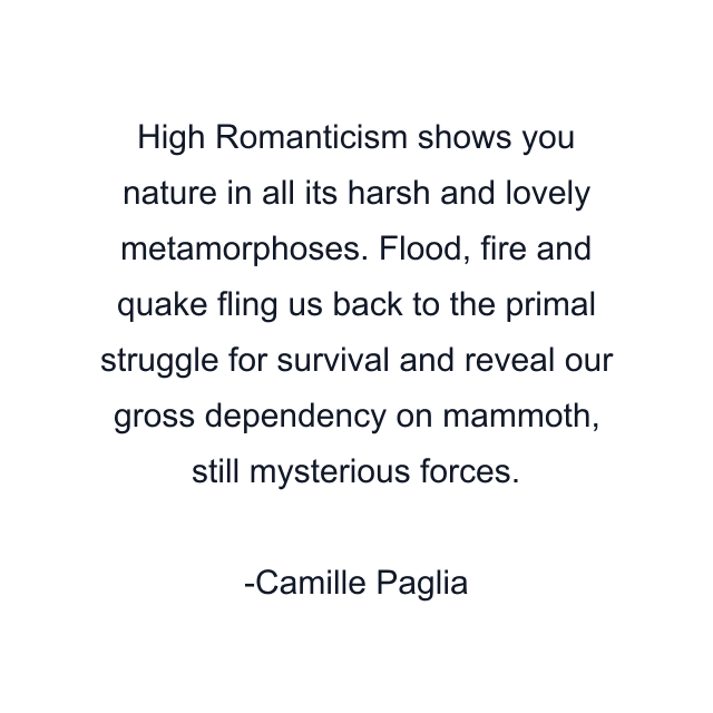 High Romanticism shows you nature in all its harsh and lovely metamorphoses. Flood, fire and quake fling us back to the primal struggle for survival and reveal our gross dependency on mammoth, still mysterious forces.