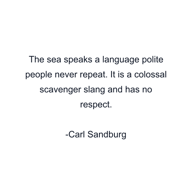 The sea speaks a language polite people never repeat. It is a colossal scavenger slang and has no respect.