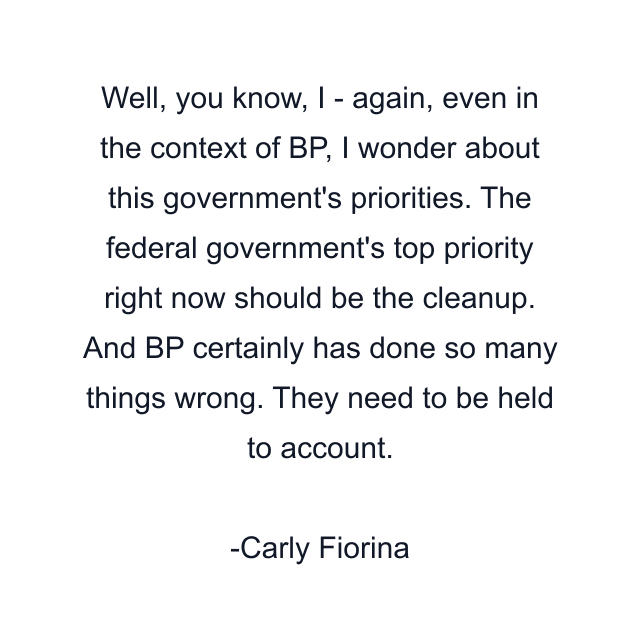 Well, you know, I - again, even in the context of BP, I wonder about this government's priorities. The federal government's top priority right now should be the cleanup. And BP certainly has done so many things wrong. They need to be held to account.