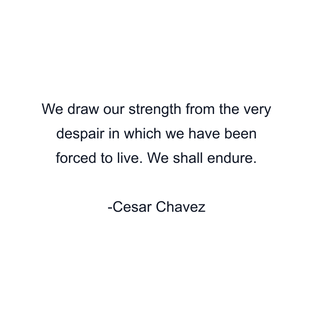 We draw our strength from the very despair in which we have been forced to live. We shall endure.