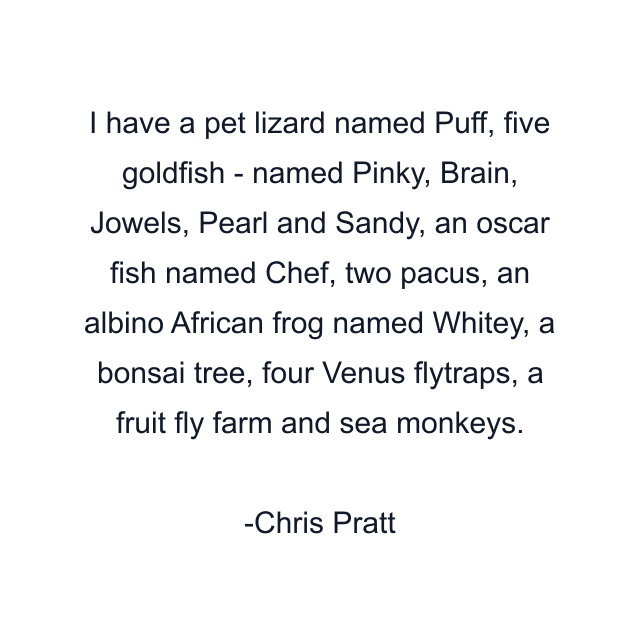 I have a pet lizard named Puff, five goldfish - named Pinky, Brain, Jowels, Pearl and Sandy, an oscar fish named Chef, two pacus, an albino African frog named Whitey, a bonsai tree, four Venus flytraps, a fruit fly farm and sea monkeys.