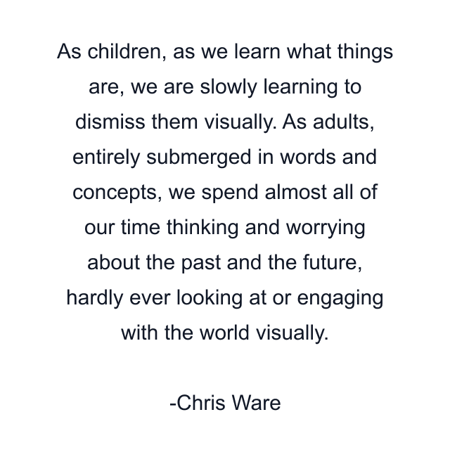 As children, as we learn what things are, we are slowly learning to dismiss them visually. As adults, entirely submerged in words and concepts, we spend almost all of our time thinking and worrying about the past and the future, hardly ever looking at or engaging with the world visually.