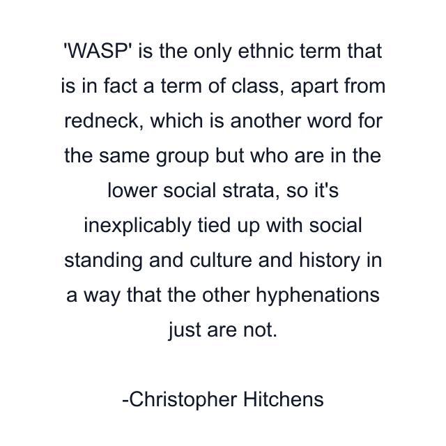 'WASP' is the only ethnic term that is in fact a term of class, apart from redneck, which is another word for the same group but who are in the lower social strata, so it's inexplicably tied up with social standing and culture and history in a way that the other hyphenations just are not.