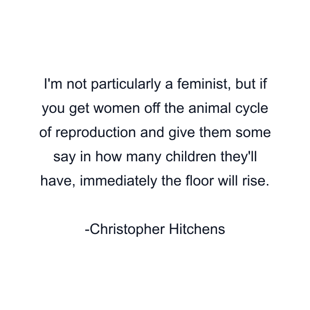 I'm not particularly a feminist, but if you get women off the animal cycle of reproduction and give them some say in how many children they'll have, immediately the floor will rise.