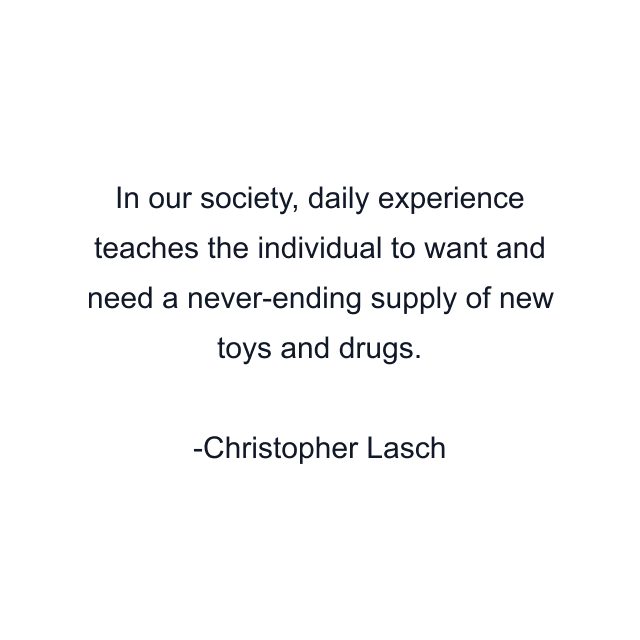 In our society, daily experience teaches the individual to want and need a never-ending supply of new toys and drugs.