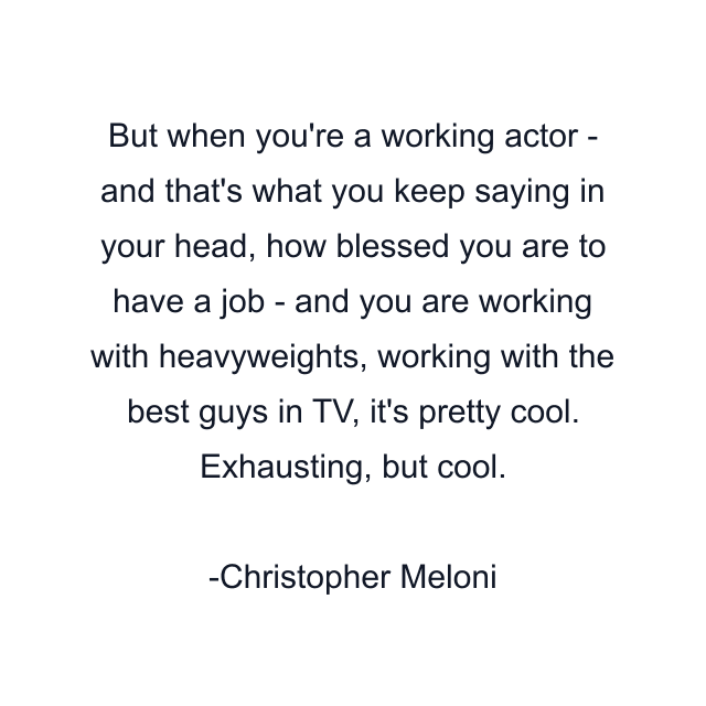 But when you're a working actor - and that's what you keep saying in your head, how blessed you are to have a job - and you are working with heavyweights, working with the best guys in TV, it's pretty cool. Exhausting, but cool.