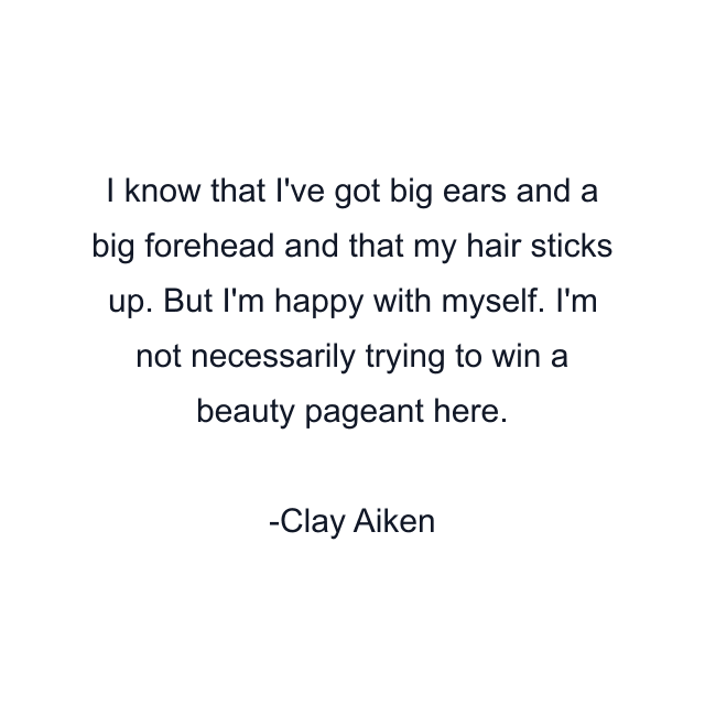 I know that I've got big ears and a big forehead and that my hair sticks up. But I'm happy with myself. I'm not necessarily trying to win a beauty pageant here.