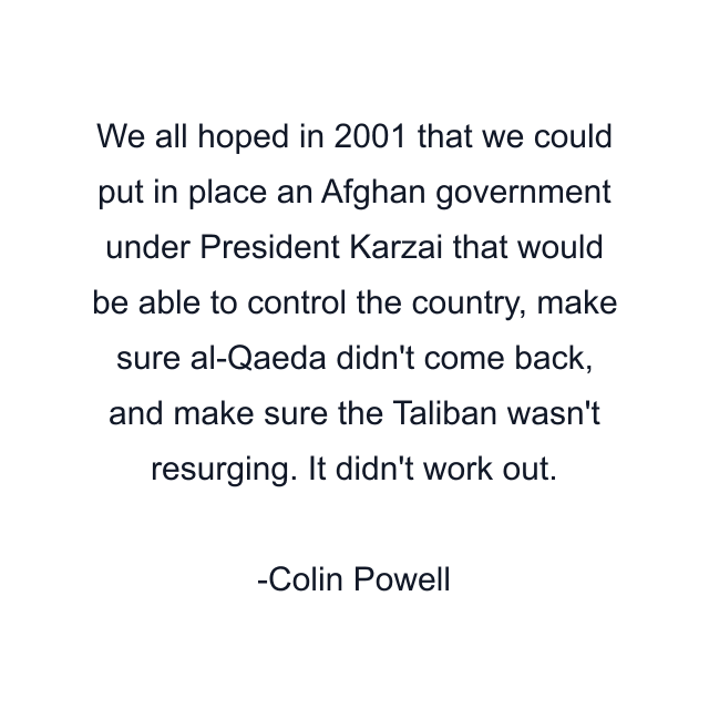 We all hoped in 2001 that we could put in place an Afghan government under President Karzai that would be able to control the country, make sure al-Qaeda didn't come back, and make sure the Taliban wasn't resurging. It didn't work out.