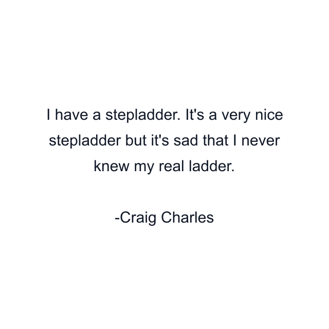 I have a stepladder. It's a very nice stepladder but it's sad that I never knew my real ladder.