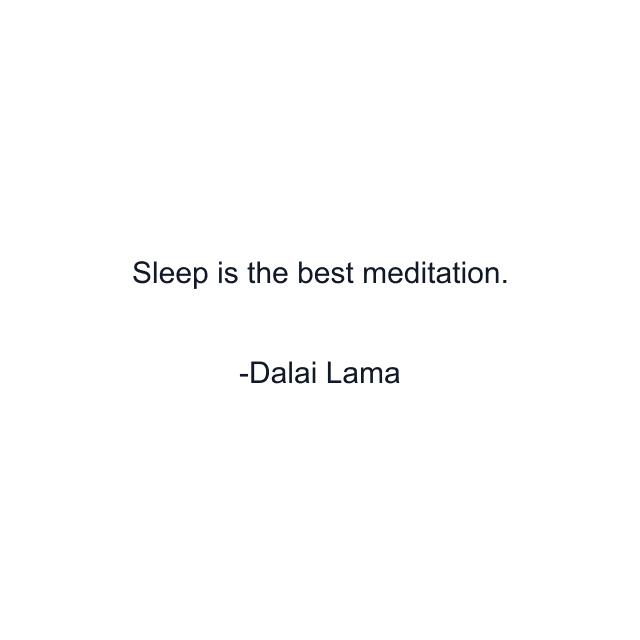 Sleep is the best meditation.