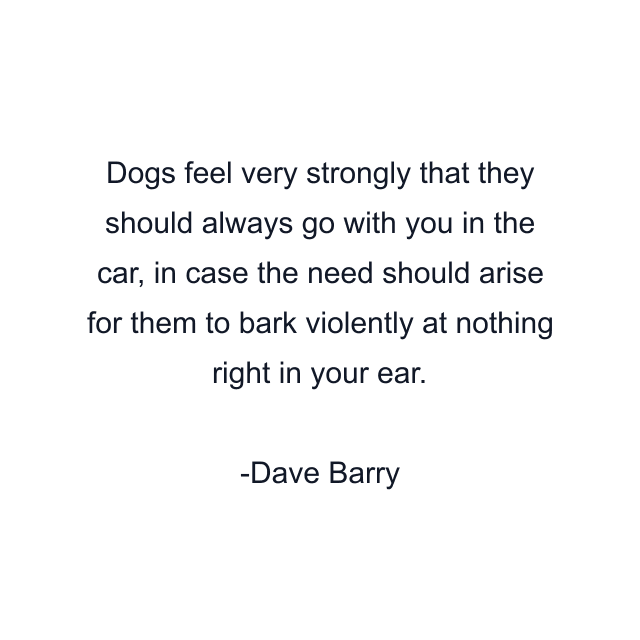 Dogs feel very strongly that they should always go with you in the car, in case the need should arise for them to bark violently at nothing right in your ear.