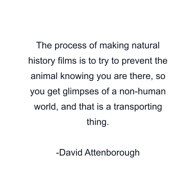 The process of making natural history films is to try to prevent the animal knowing you are there, so you get glimpses of a non-human world, and that is a transporting thing.