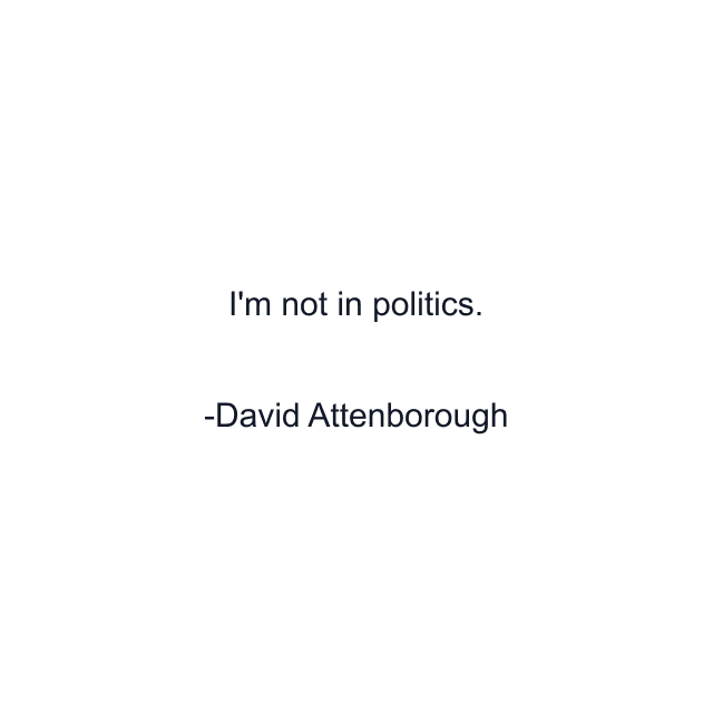 I'm not in politics.